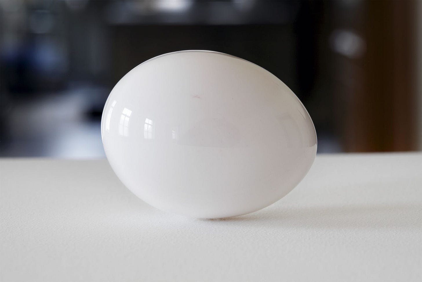 Chicken Egg, Polished, Raw, Size 0 by Karin Sander, 1994. [A white egg without a shell sits on a white table. The egg is so shiny you can see the windows of the surrounding room in its reflection.]
